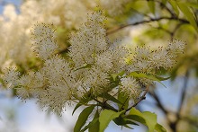 DSC_0015.jpg