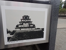 305810.jpg
