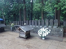305818.jpg