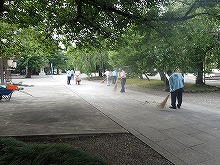 316503.jpg