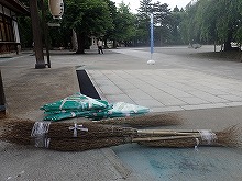 316504.jpg